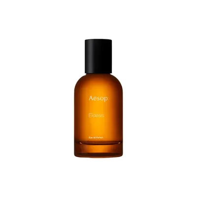 Aesop Eidesis