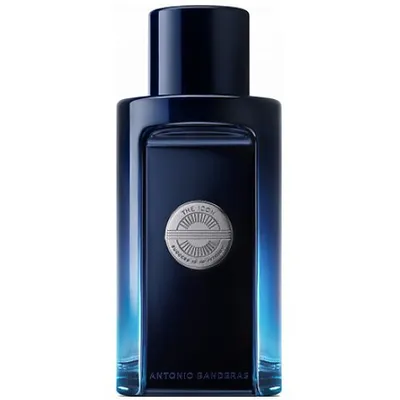 Antonio Banderas The Icon