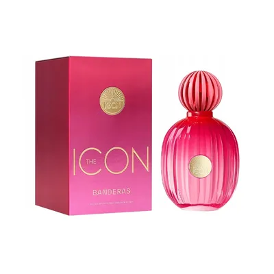 Antonio Banderas The Icon