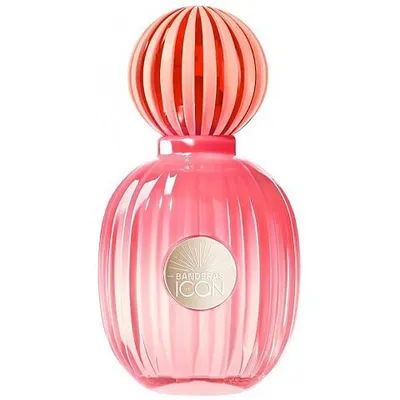 Antonio Banderas The Icon Splendid