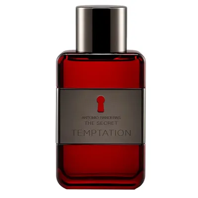 Antonio Banderas The Secret Temptation