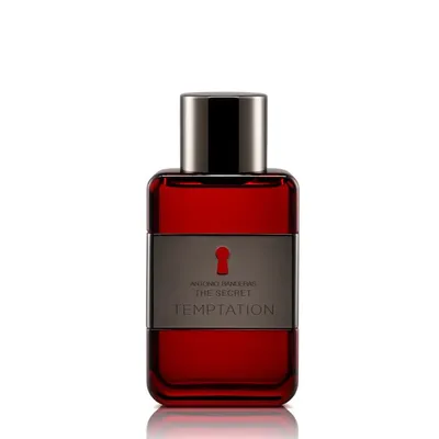 Antonio Banderas The Secret Temptation