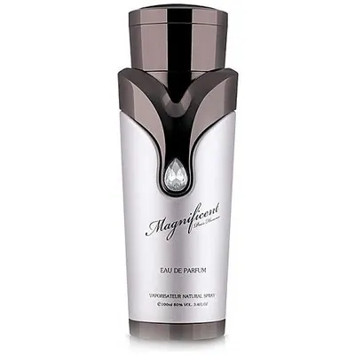 Armaf Magnificent Pour Homme