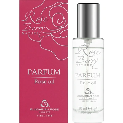 Bulgarian Rose Rose Berry Nature