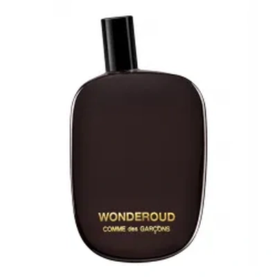 Comme Des Garcons Wonderoud
