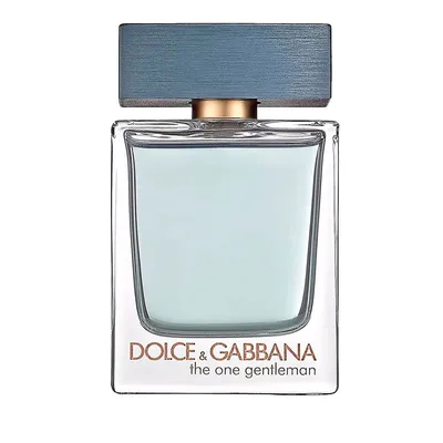 Dolce & Gabbana The One Gentleman