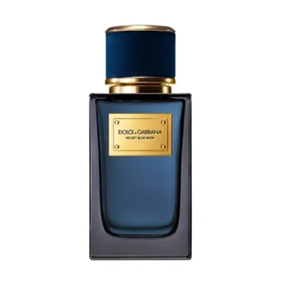 Dolce & Gabbana Velvet Blue Musk