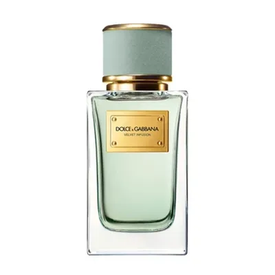 Dolce & Gabbana Velvet Infusion