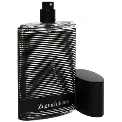 Ermenegildo Zegna Zegna Intenso