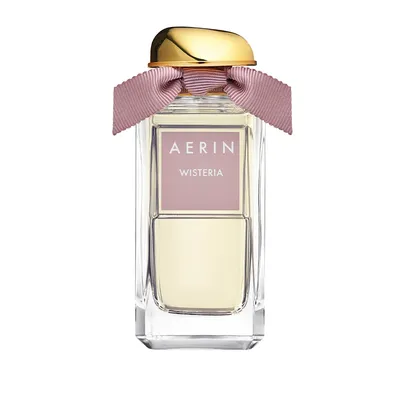 Aerin Wisteria