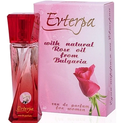 Evterpa Rose