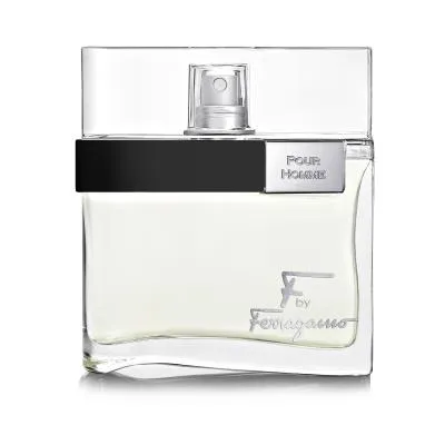 Ferragamo F By Ferragamo Pour Homme