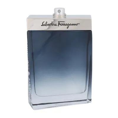Ferragamo Subtil Pour Homme