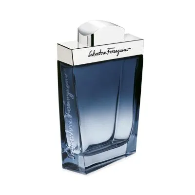 Ferragamo Subtil Pour Homme