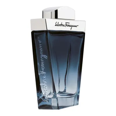 Ferragamo Subtil Pour Homme