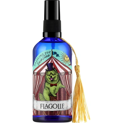 Flagolie Dazzling Pup