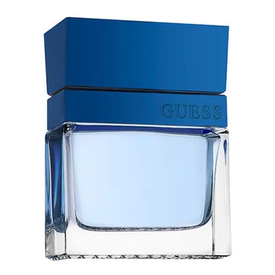 Guess Seductive Homme Blue