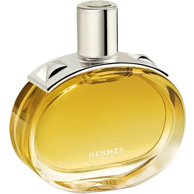 Hermes Barenia Intense
