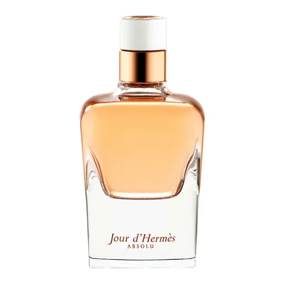 Hermes Jour d'Hermes Absolu