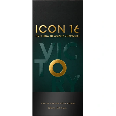 Icon16 by Kuba Błaszczykowski Victory