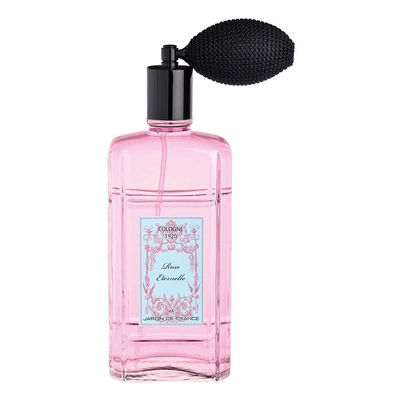 Jardin De France Rose Eternelle