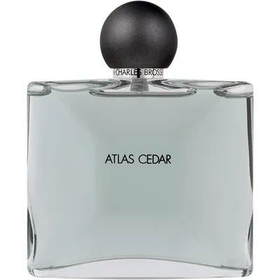 Jean-Charles Brosseau Collection Homme Atlas Cedar