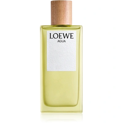 Loewe Agua