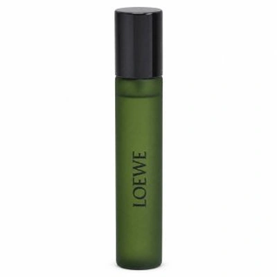 Loewe Agua Miami