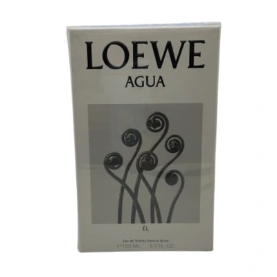 Loewe Agua El