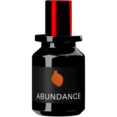 Map Of The Heart V.8 Abundance