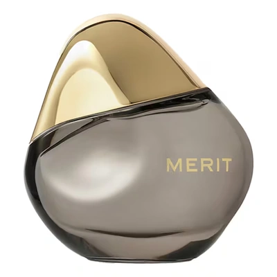 Merit Retrospect