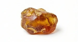 Anthamber