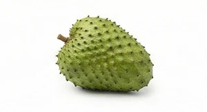 Flaszowiec miękkociernisty