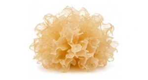 Indonezyjski agar