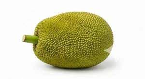 Jackfruit