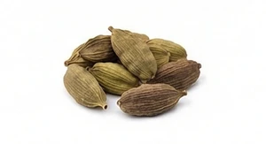 Kardamon gwatemalski