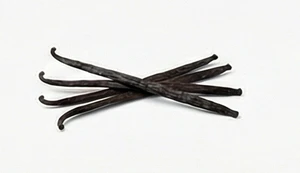 Łupina czarnej wanilii