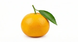 Mandarynka kalabryjska