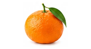 Mandarynka miodowa