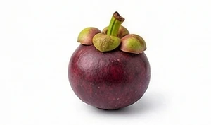 Mangostan