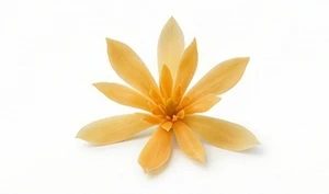 Michelia