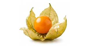 Miechunka peruwiańska