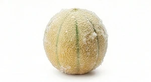 Mrożony melon