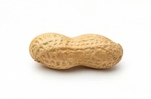 Orzech ziemny