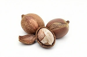 Orzechy shea