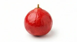 Quandong
