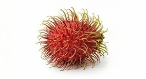 Rambutan