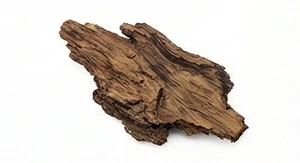 Rzadkie drewno