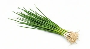 Szczypiorek