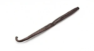 Wanilia madagaskarska